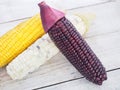 boiled sweet corns on wooden background Royalty Free Stock Photo