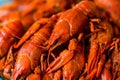 Tasty red boiled crayfish close up background Royalty Free Stock Photo