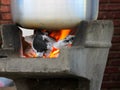 Boiled water in a stainless steel pot on a stove