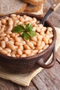 Boiled white kidney beans in a brown pot and bread, closeup Royalty Free Stock Photo