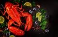 Boiled whole lobster with lemon, parsley and ice cube on black background