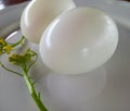 Boiled eggs organic Royalty Free Stock Photo