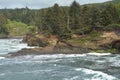 Boiler Bay on the Oregon Coast Royalty Free Stock Photo