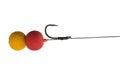This boilie and the hook. Ready bait for carpfishing. Isolate on white background. Royalty Free Stock Photo