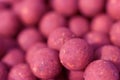 Boilies, fishing baits, close up