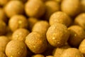 Boilies, fishing baits, close up Royalty Free Stock Photo