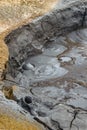 Mud bubbling and boiling at Hverir and Namaskard geothermal area, Iceland