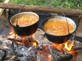 Boiling caldrons on wood fire Royalty Free Stock Photo