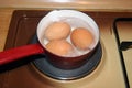 Boiling eggs. Cooking eggs. Making breakfast. Boiling eggs in a pot.