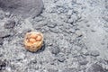 Boiling eggs in hot spring Royalty Free Stock Photo