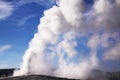 The boiling geothermal geyser Royalty Free Stock Photo