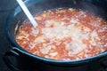 Boiling goulash
