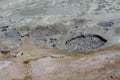 Boiling Mud Pot Royalty Free Stock Photo