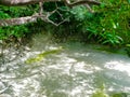 Boiling mud pot in Rincon de la Vieja national park