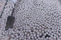 Boiling pork meat balls in hot pot Royalty Free Stock Photo