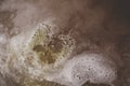 The boiling surface of the beer after laying the green pressed h Royalty Free Stock Photo