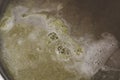 The boiling surface of the beer after laying the green pressed h Royalty Free Stock Photo