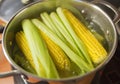 Boiling sweet corn in pot