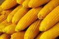 Boiling Sweet Corn, simple summer tasty snack in India