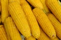 Boiling Sweet Corn, simple summer tasty snack in India