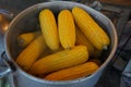 Boiling sweet corn