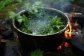 boiling water with nettle leaves in a pot over fire