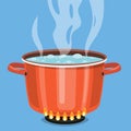 Boiling water in pan. Royalty Free Stock Photo