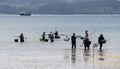 Group of shellfishers in the water on the beach to collect clams and mussels.