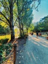 Bois de Vincennes, biggest park of Paris, France