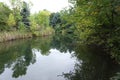 Boise city park pond, Idaho Royalty Free Stock Photo