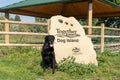 Black labrador dog poses by the Dog Island dog park sign, an off-leash dog area at Ann Morrison