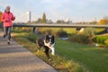 Boisterous Border Collie dog galloping along footpath at sunset