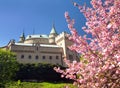 Bojnice castle near Prievidza town, Slovakia, Europe Royalty Free Stock Photo
