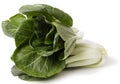 Bok Choi over white