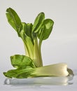 Bok Choi standing on light grey background