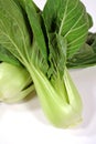 Bok Choy 2 Royalty Free Stock Photo