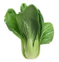 Bok choy