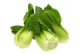 Pok Choi Royalty Free Stock Photo