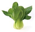 Bok choy