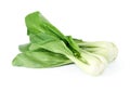 Bok choy (chinese cabbage)