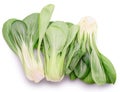 Bok choy or chinese cabbage isolated on white background.