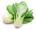 Bok choy or chinese cabbage isolated on white background. File contains clipping path