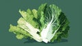Bok choy, chinese cabbage, vegetable vector illustration. Generative AI Royalty Free Stock Photo