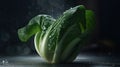 Bok choy chinese cabbage with water drops on black background