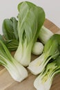 Bok choy chinese cabbage in a wooden board in a white backdrop.