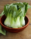 Bok choy (chinese cabbage)