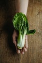 bok choy in the hand of a man