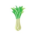 Bok choy icon template vector