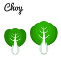 Bok choy icon