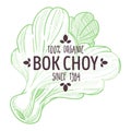 Bok choy or pak choi chinese cabbage emblem